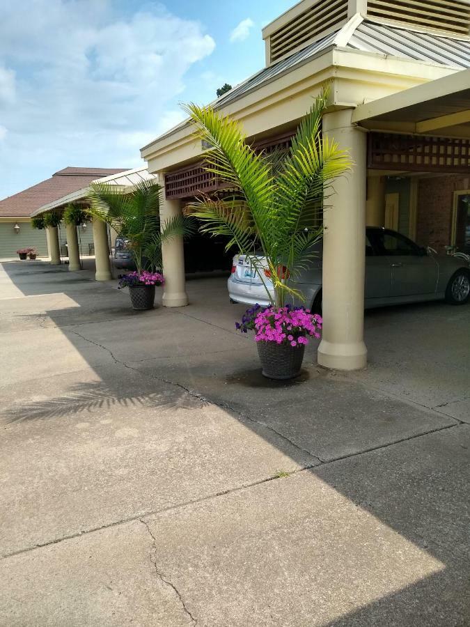 Southern Comfort Suites Mayfield Εξωτερικό φωτογραφία