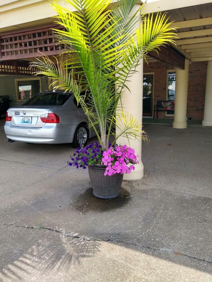 Southern Comfort Suites Mayfield Εξωτερικό φωτογραφία